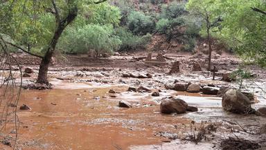 Sturzflut im Grand Canyon: Evakuierungen und Warnungen