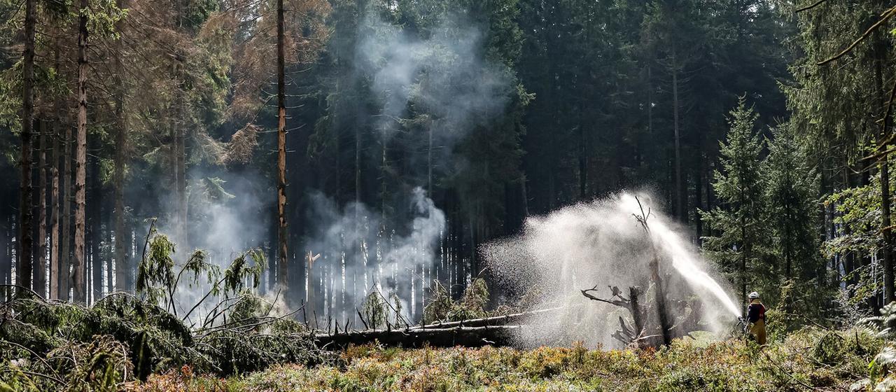 Großbrand in Belgien unter Kontrolle: Deutsche Feuerwehr zieht ab