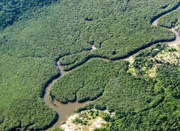 Brasilien erreicht Tiefstand bei Amazonas-Abholzung