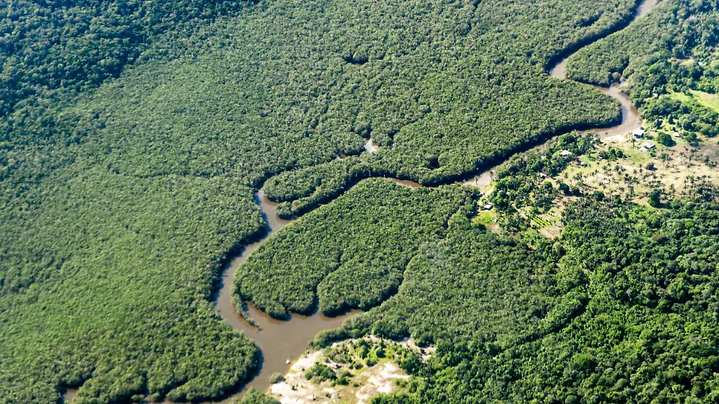 Brasilien erreicht Tiefstand bei Amazonas-Abholzung