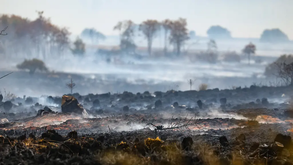 Waldbrände in Deutschland: Ursachen und Risiken