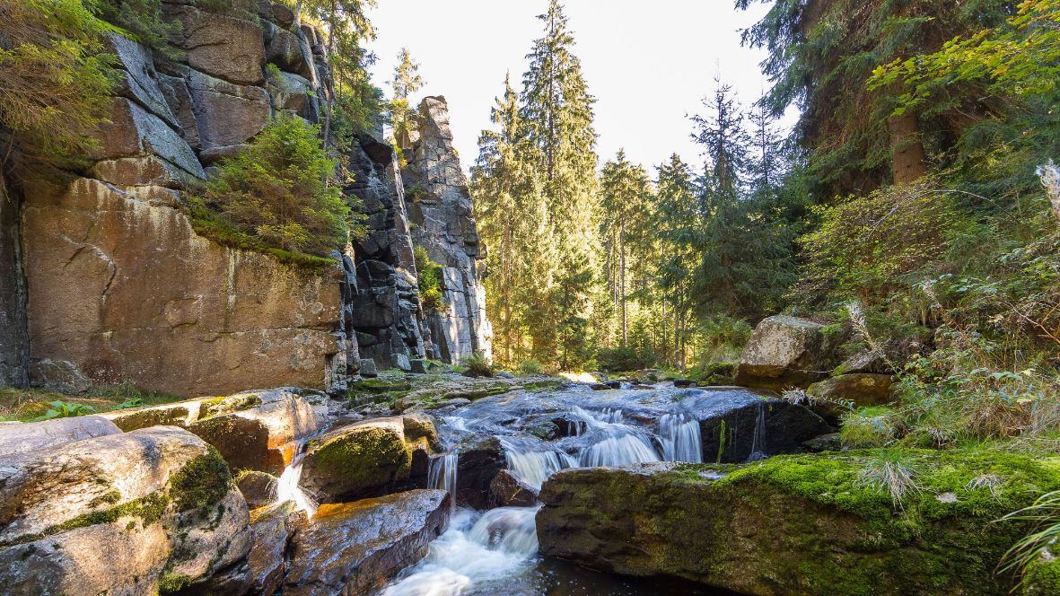 Erkunden Sie das Erzgebirge und den Harz: Verborgene Schätze und malerische Landschaften