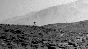 Erstaunliche Entdeckung auf dem Mars: Ein Rätsel für Wissenschaftler