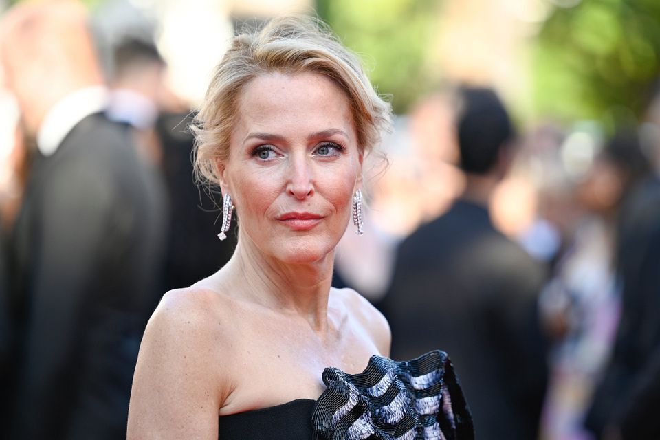 Gillian Anderson spricht über sexuelle Orientierung und persönliche Erfahrungen
