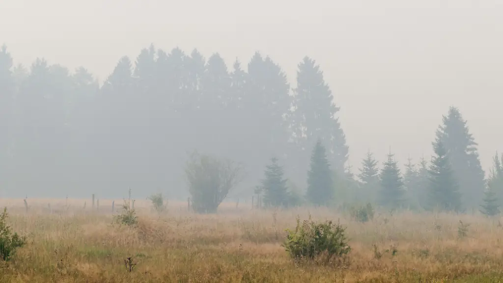 Riesiger Waldbrand in Belgien bedroht Monschau