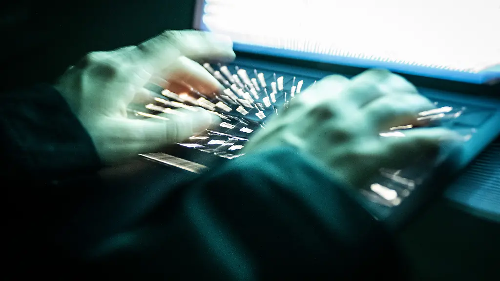 Private Firmen gegen Cyber-Kriminalität unter staatlicher Aufsicht