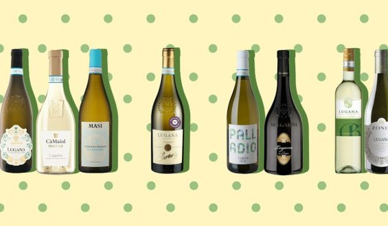 Italienische Weißweine im Fokus: Lugana im Test