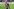 Der Abgang des Kapitäns Jackson Irvine bei FC St. Pauli