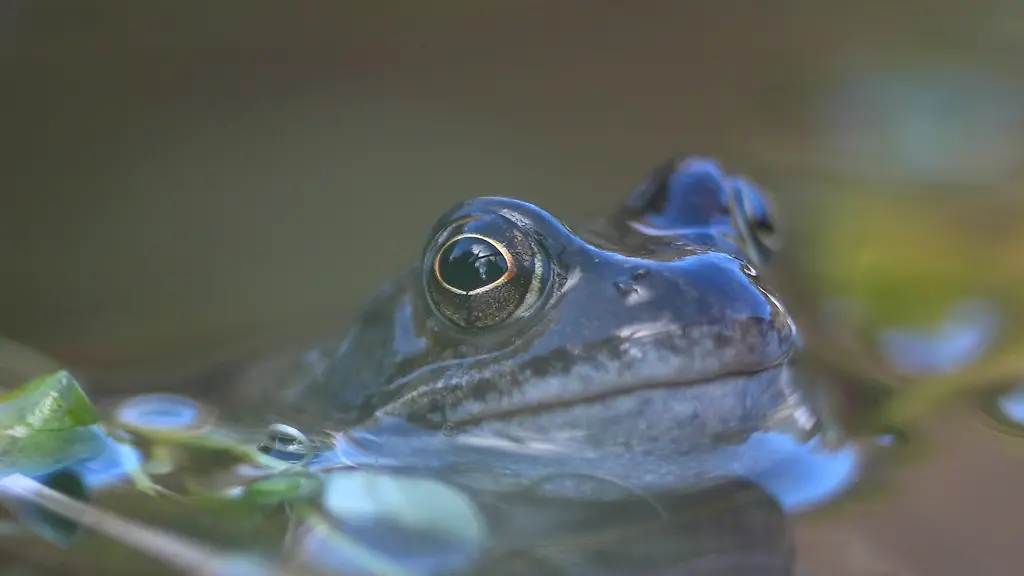 Deutschland im warmen Wasser