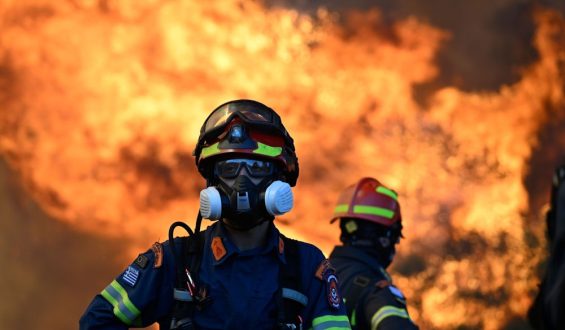 Waldbrände in Europa und den USA: Aktuelle Lage