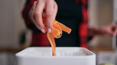 Tipps zur Pflege und zum Standort von Ahornpflanzen