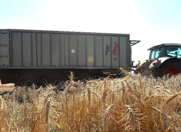 Russlands Angriffe auf ukrainische Häfen bedrohen globale Ernährungssicherheit