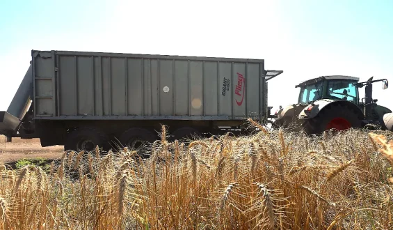 Russlands Angriffe auf ukrainische Häfen bedrohen globale Ernährungssicherheit