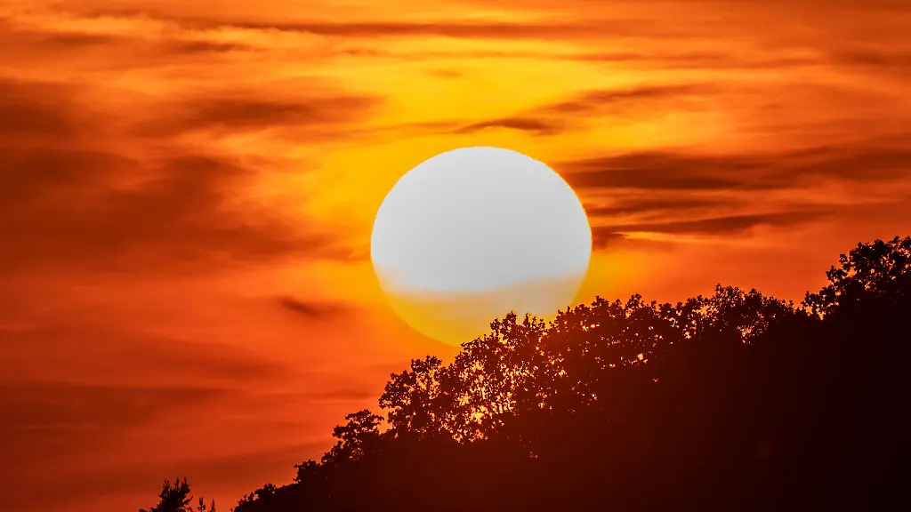 Hitze und ihre Auswirkungen: Ein Rückblick auf den Sommer 2026