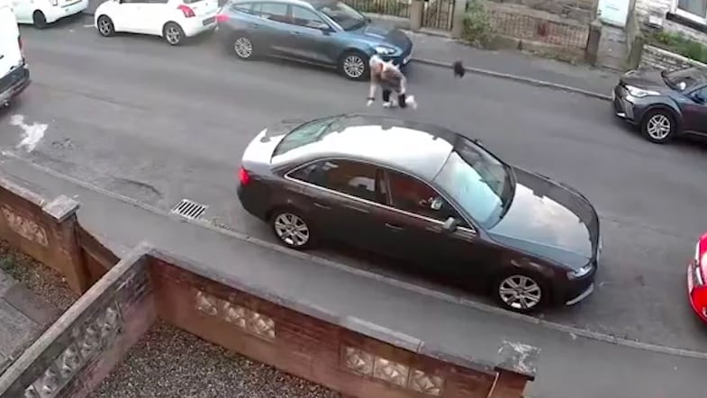 Krähenangriff auf Spaziergängerin in Burnley