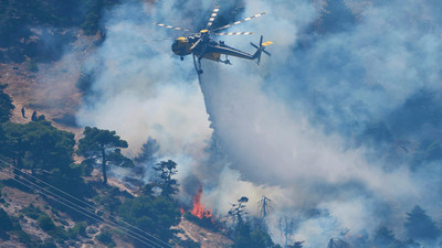 Waldbrände in Europa und den USA: Aktuelle Entwicklungen