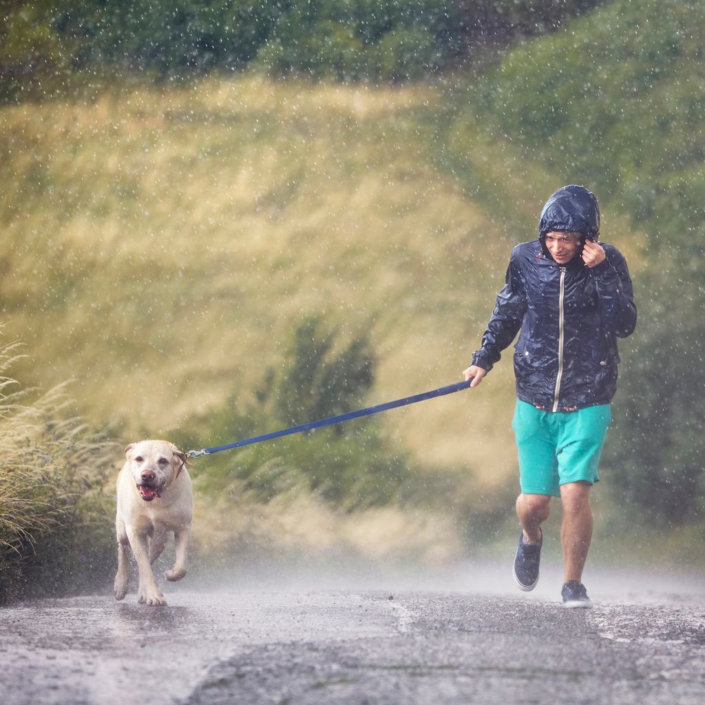 So wird Ihr Hund zum Fitness-Booster