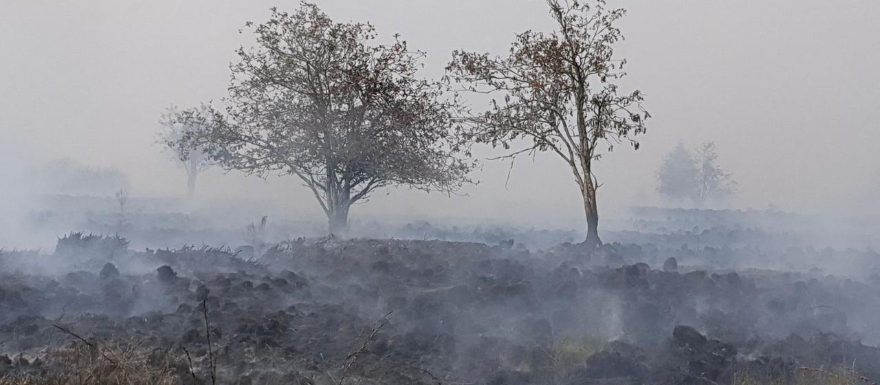 Waldbrände und Evakuierungen an der Grenze zu Belgien bedrohen Monschau