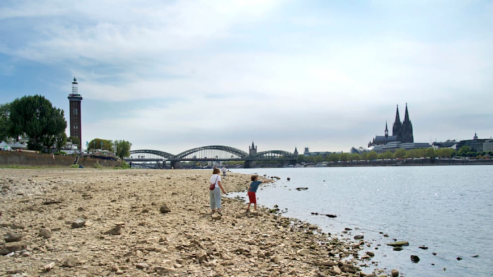 Aufnahmen von 1949 zeigen krasse Dürre: Schon damals kein Wasser im Rhein
