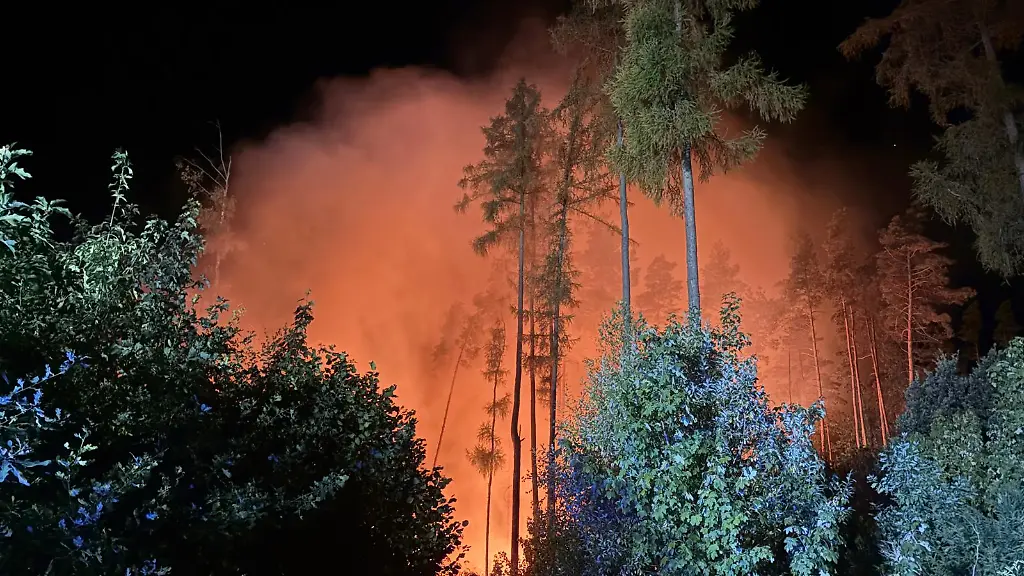 Waldbrand in Sachsen fordert großen Einsatz der Feuerwehr