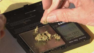 Einschränkungen bei der Kostenerstattung für Cannabis durch GKV-Sparpaket