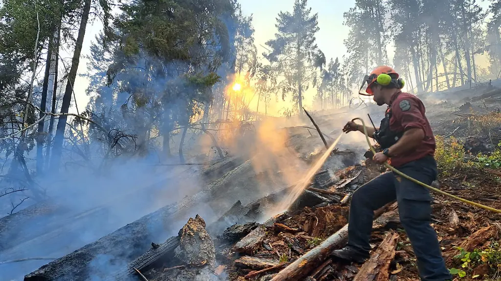 Kanada bekämpft Waldbrände in British Columbia