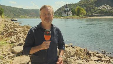 Deutschland Nachrichten vom 10. August 2026