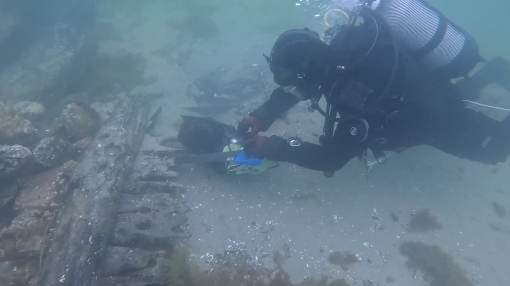 Kriegsschiffe in der Ostsee – 300 Jahre verschollen: Schiffswrack mit Kanone