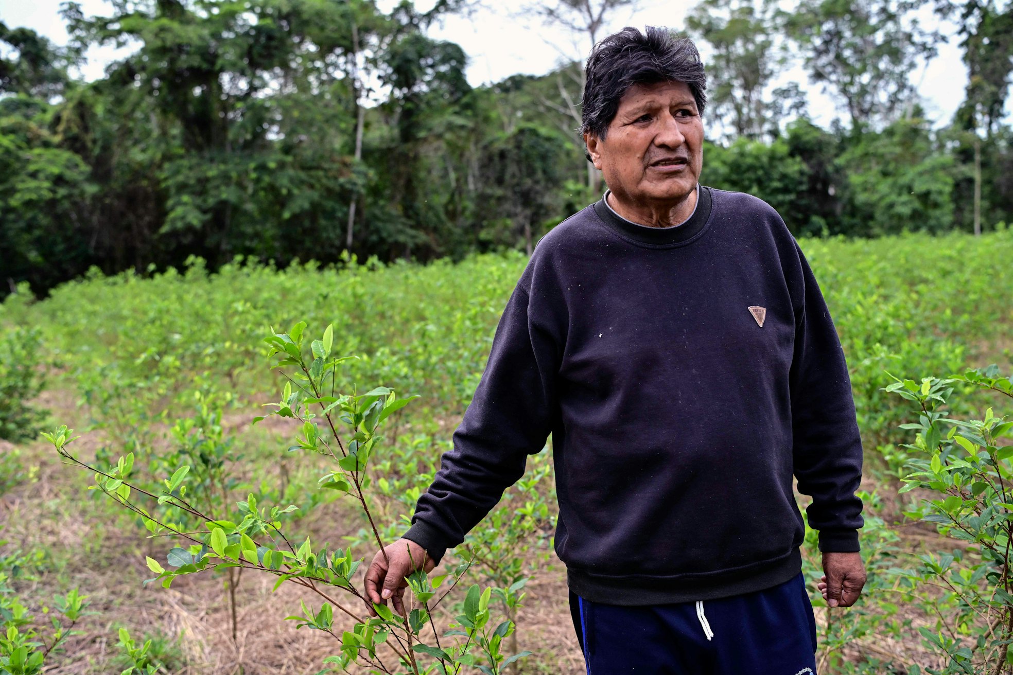Der Einfluss von Evo Morales auf Boliviens Regierung