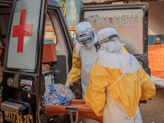 WHO kämpft gegen Ebola-Ausbruch in Zentralafrika