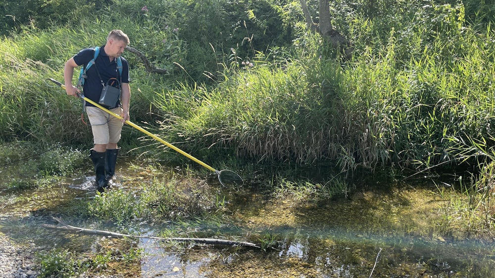 Herausforderungen für Fische in Bayern während Hitzeperioden