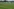 Der Konflikt um den Bayer 04-Campus in Monheim