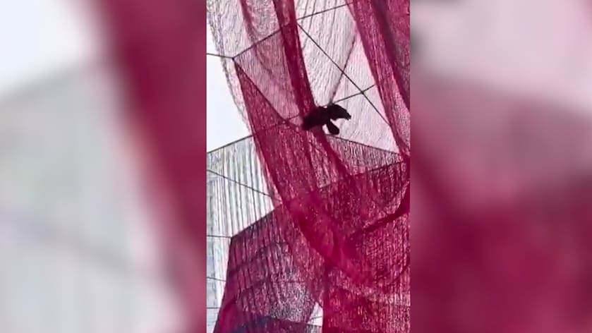 Netz-Skulptur in Frankfurt sorgt für Kontroversen