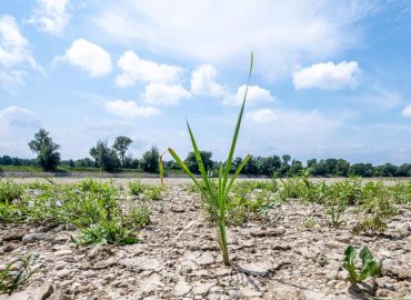 Wassermanagement und Klimaschutz: Herausforderungen für Flüsse und Auen