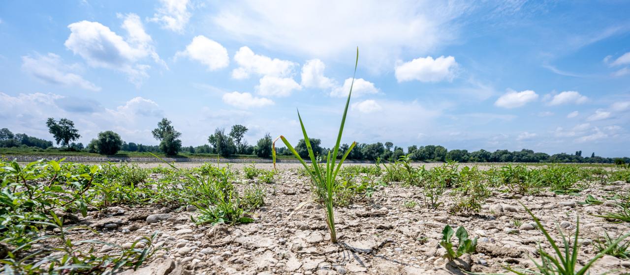 Wassermanagement und Klimaschutz: Herausforderungen für Flüsse und Auen