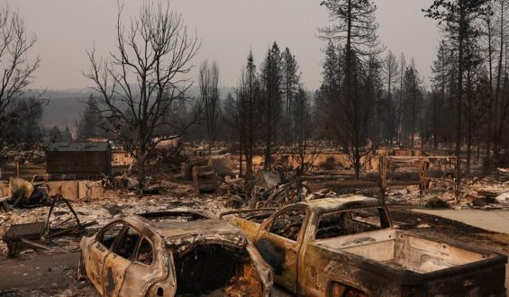 Waldbrände im US-Bundesstaat Washington: Fortschritte und Festnahme