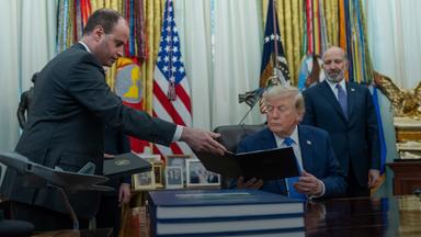 Donald Trumps Maßnahmen gegen Geburtstourismus