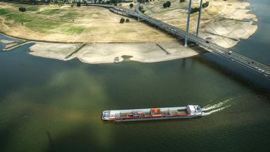 Niedrigwasser im Rhein: Herausforderungen für Verkehr und Industrie