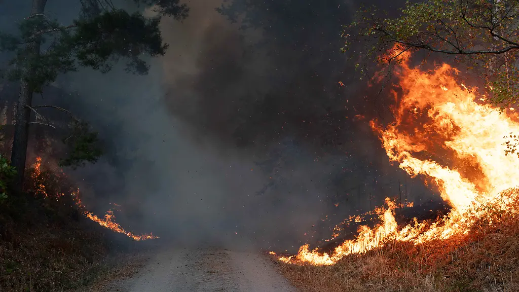 Große Brände in Deutschland: Eine Chronik der Waldbrände
