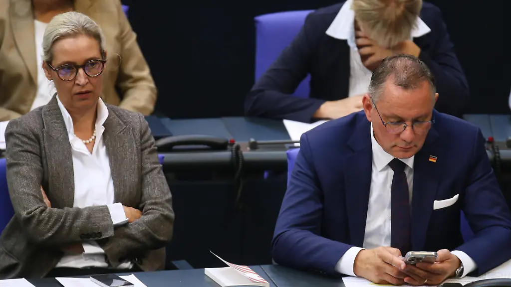 Juristen fordern Verbotsverfahren gegen AfD