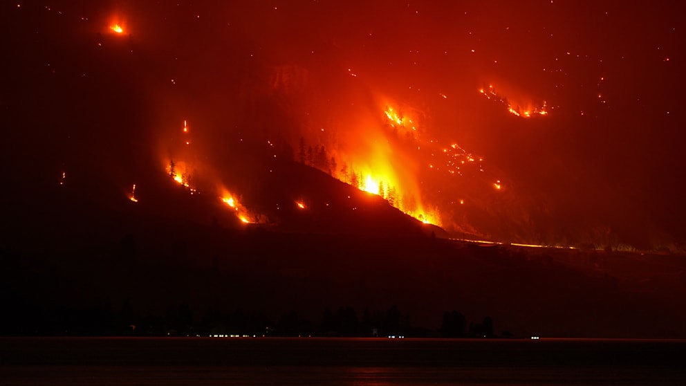 Notstand wegen Waldbrand in Kanada: Evakuierungen in British Columbia