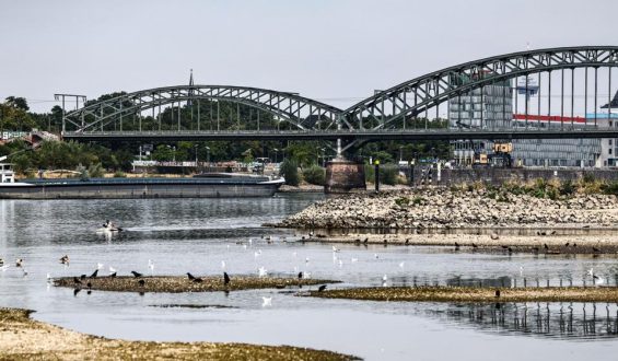 Krisentreffen wegen historisch niedrigem Rheinwasserstand