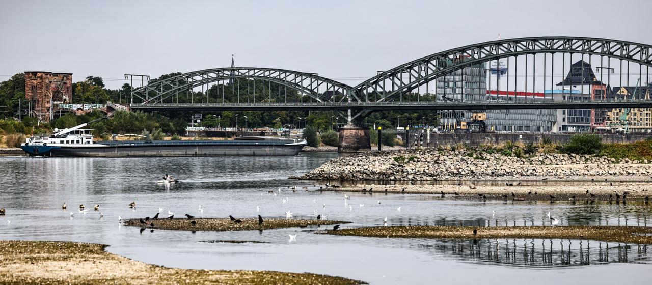 Krisentreffen wegen historisch niedrigem Rheinwasserstand