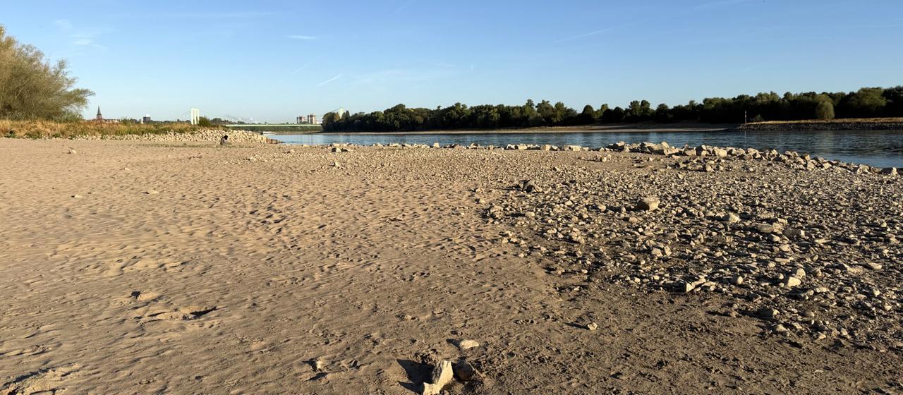 Niedriger Rhein-Pegel und seine Auswirkungen