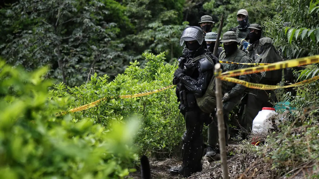 Kolumbianisches Militär zerstört Drogenlabor und sichert Kokain