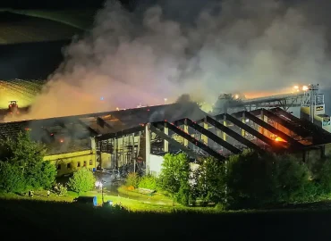 Feuerkatastrophe in Bayern: Über 1200 Schweine sterben bei Brand auf Bauernhof