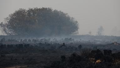 Heutige Geschehnisse: Waldbrände in Belgien und Druck auf Wasserversorgung