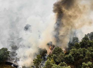Flammen-Alarm an deutscher Grenze: Waldbrand wächst in Stunden auf 100 Hektar