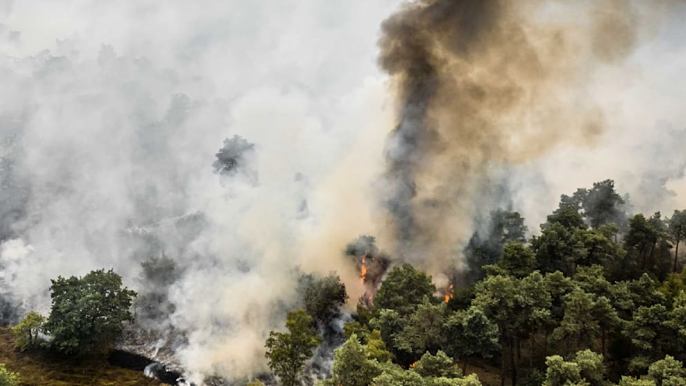Flammen-Alarm an deutscher Grenze: Waldbrand wächst in Stunden auf 100 Hektar
