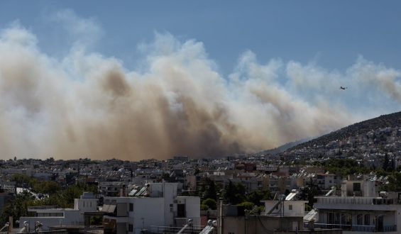 Waldbrände in Südeuropa: Ein Überblick